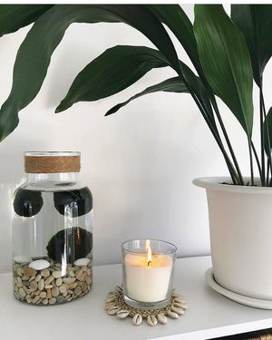 Image post by @leafyaffair on Instagram