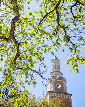 Image post by @unt on Instagram