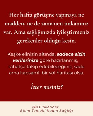 Image post by @asliokender on Instagram