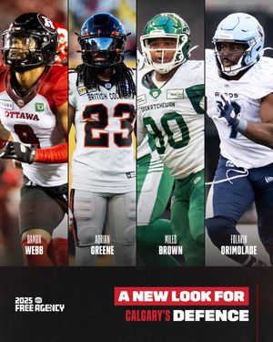 Image post by @cfl on Instagram