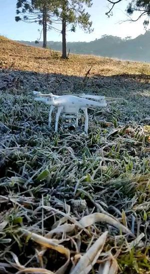 Video post by @operitoambiental on Instagram