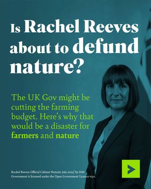 Image post by @rspb on Instagram