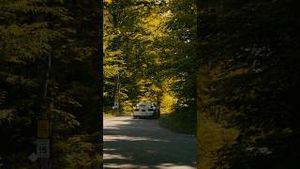 Video post by @ryantuerck on YouTube