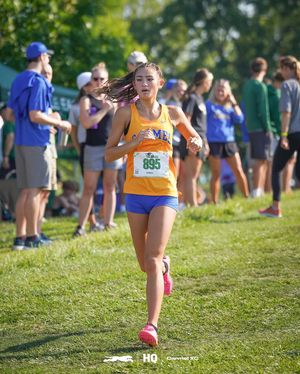 Image post by @carmelgreyhoundsxc on Instagram