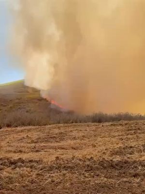 Image post by @calfire on Instagram