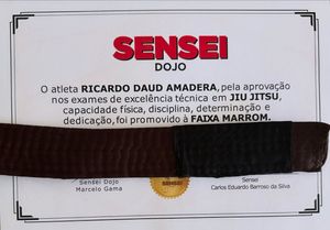 Image post by @ricardoamaderapsico on Instagram
