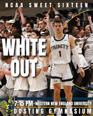 Image post by @trinmbb on Instagram