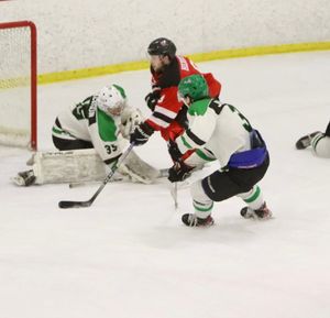Image post by @usphlhockey on Instagram