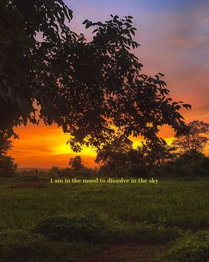 Image post by @pri1esh on Instagram
