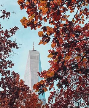Image post by @explorewtc on Instagram