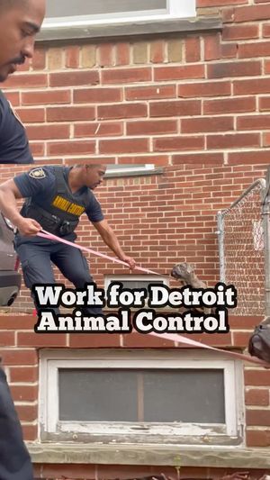 Video post by @DetroitGSD on Facebook