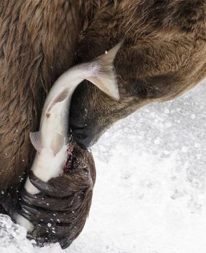 Image post by @nationalparkservice on Instagram