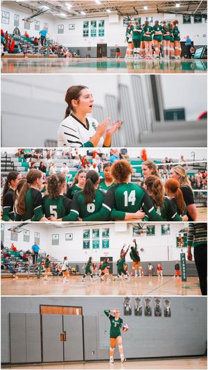 Video post by @ad7.collections on TikTok