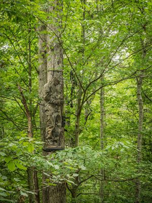Image post by @realtreeoutdoors on Instagram