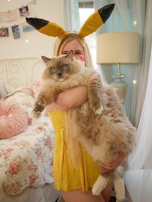 Image post by @snugzmeow on Instagram