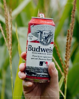 Image post by @anheuserbusch on Instagram