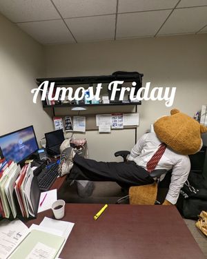 Image post by @goldythegopher on Instagram