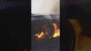 Video post by @thehoonigans on YouTube