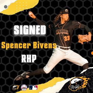 Image post by @gohoneyhunters on Twitter