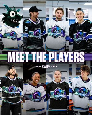 Image post by @warriorhky on Instagram