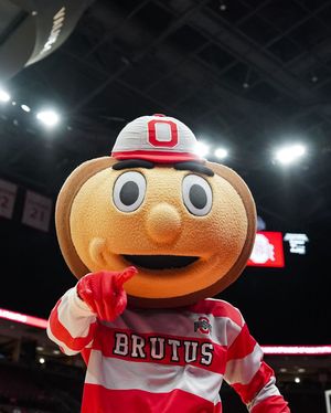 Image post by @thebrutusbuckeye on Instagram