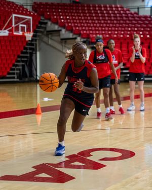 Image post by @stonybrookwbb on Instagram