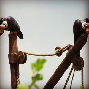 Image post by @thedisneyblog on Instagram