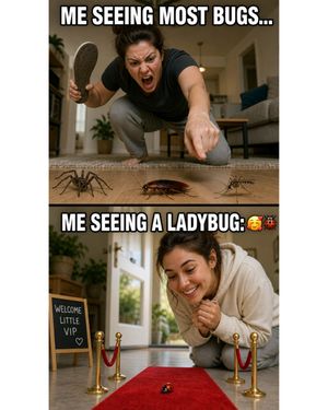 Image post by @bugbustersusa on Instagram