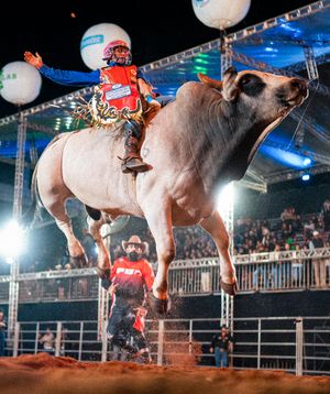 Image post by @pbrbrazil on Instagram