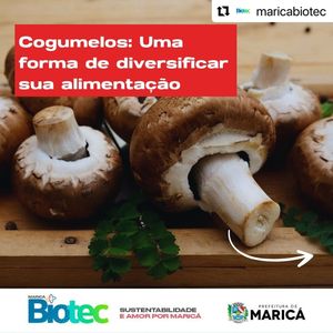 Image post by @josedeabreu on Instagram