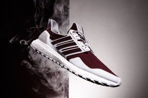 Image post by @HailState on Twitter