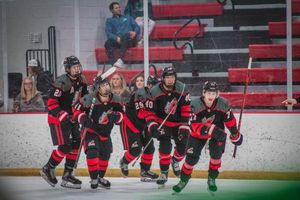 Image post by @usphlhockey on Instagram