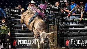 Video post by @pbr on YouTube