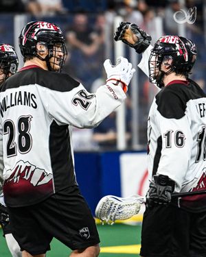 Image post by @MammothLax on Twitter
