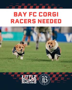 Image post by @littlestumpsracing1 on Facebook