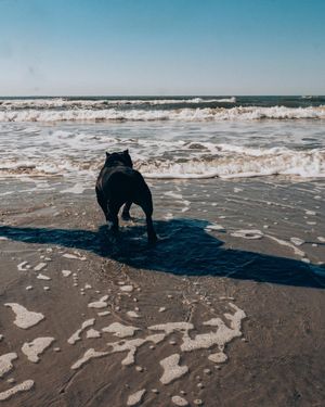 Image post by @allieaurora on Instagram