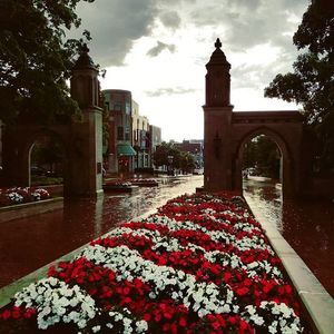 Image post by @IndianaWPolo on Twitter