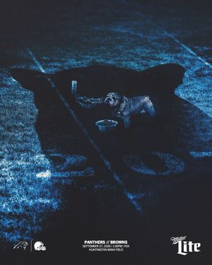 Image post by @panthers on Instagram