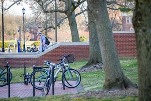 Image post by @udelaware on Instagram