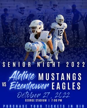 Image post by @aldinemustangfb on Instagram