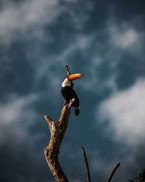Image post by @chrisbolt on Instagram