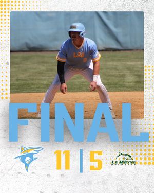 Image post by @liubaseball on Instagram