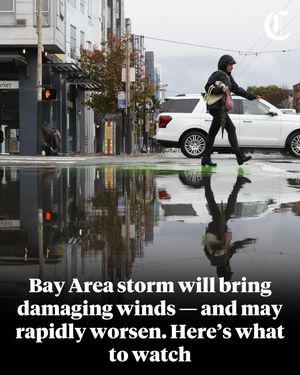 Image post by @sfchronicle on Instagram