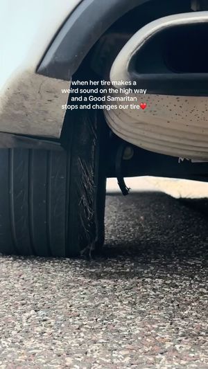 Video post by @charismeow on TikTok