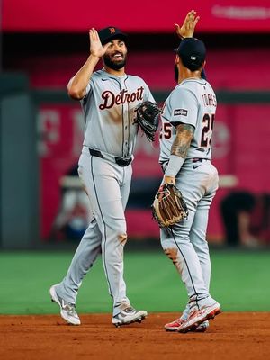 Image post by @tigers on Instagram