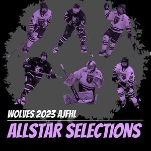 Image post by @yegjrwolves on Instagram