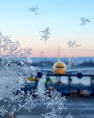 Image post by @dhl_global on Instagram