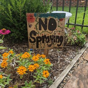 Image post by @kidsgardening on Instagram