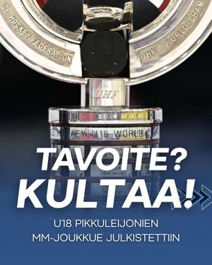 Image post by @leijonatfi on Instagram