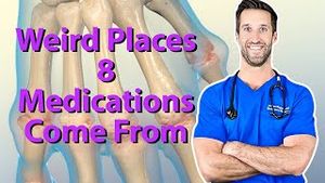 Video post by @nucleusmedicalmedia on YouTube